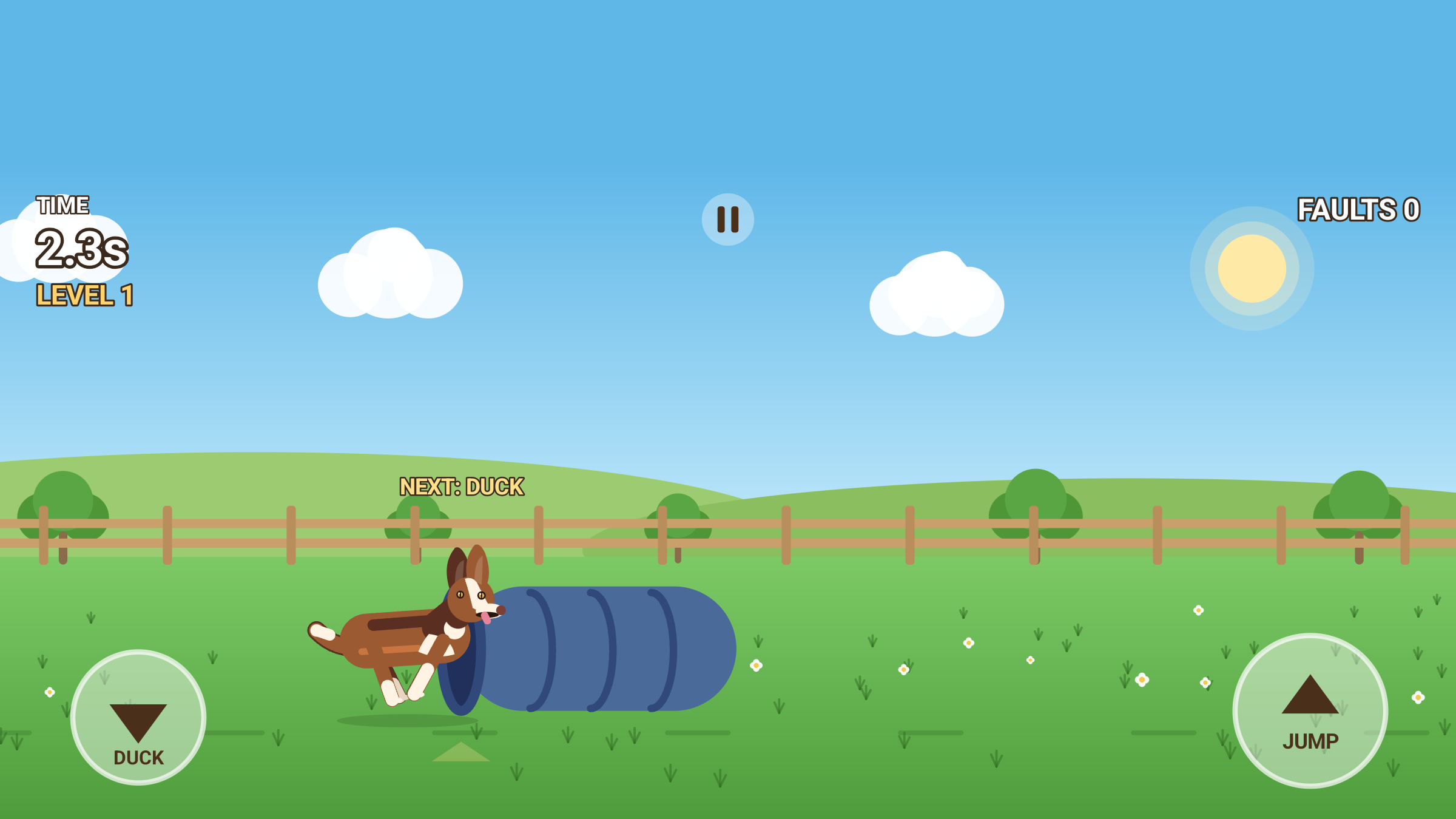 Agility Course: Glen weaving the poles on the agility run