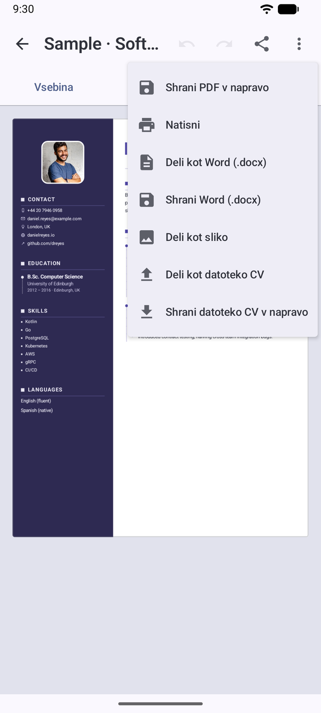Meni za izvoz z možnostmi PDF, Word .docx, slika in prenosna datoteka CV